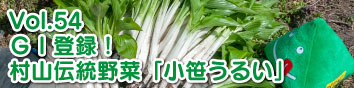 Vol.54：GI登録！ 村山伝統野菜「小笹うるい」