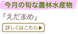 ̏{Ȕ_ѐY