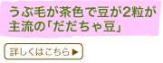 ԖтFœ2嗬́uᓤv