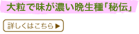 嗱ŖZӐu`v