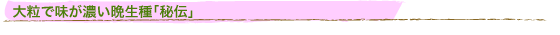 嗱ŖZӐu`v