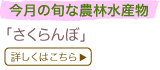 �����̏{�Ȕ_�ѐ��Y��